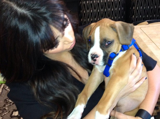 Kim Kardashian, Puppy, Instagram Kim Kardashian, Puppy, Instagram